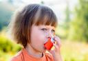 Glasgow parents given asthma warning as back to school set to see risk double
