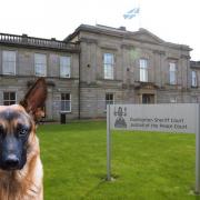 A Clydebank dog has been saved from destruction as its former owner has been banned from owning one for three years.