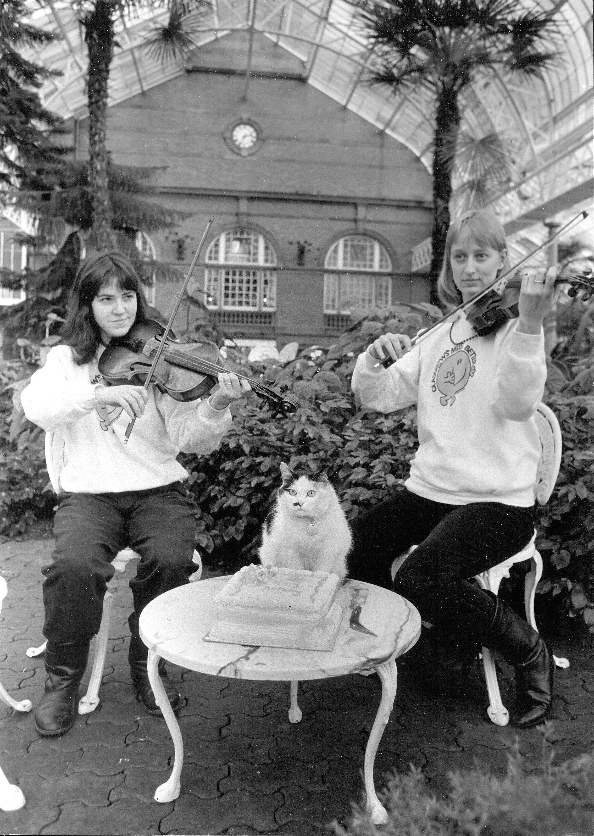 1988 - Smudge the Peoples Palace cat helps celebrate the museums 90th birthday. Pic: Herald and Times