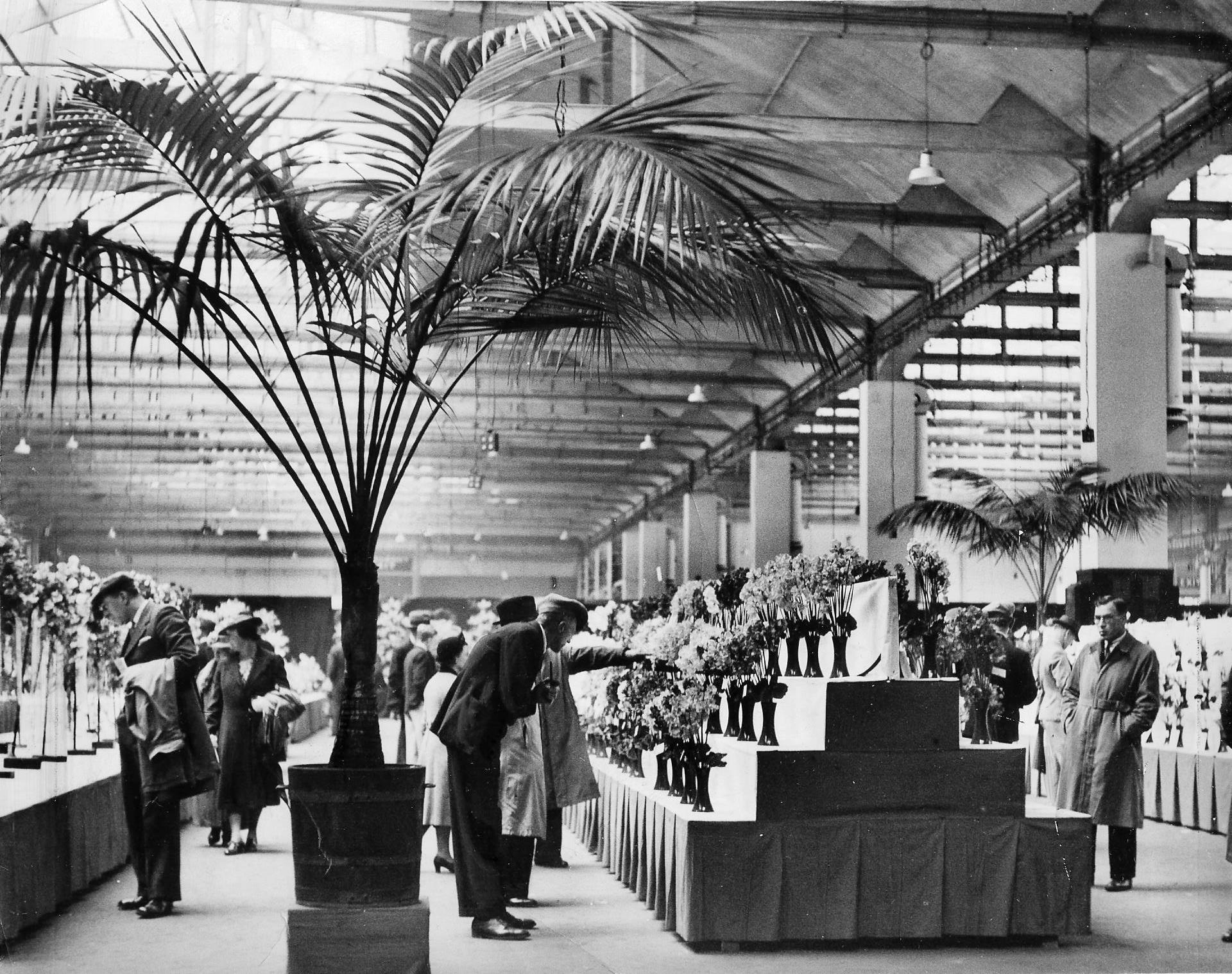The 20th Annual Scottish National Sweet Pea, Rose, and Carnation Society show, 1939. Pic: Herald and Times