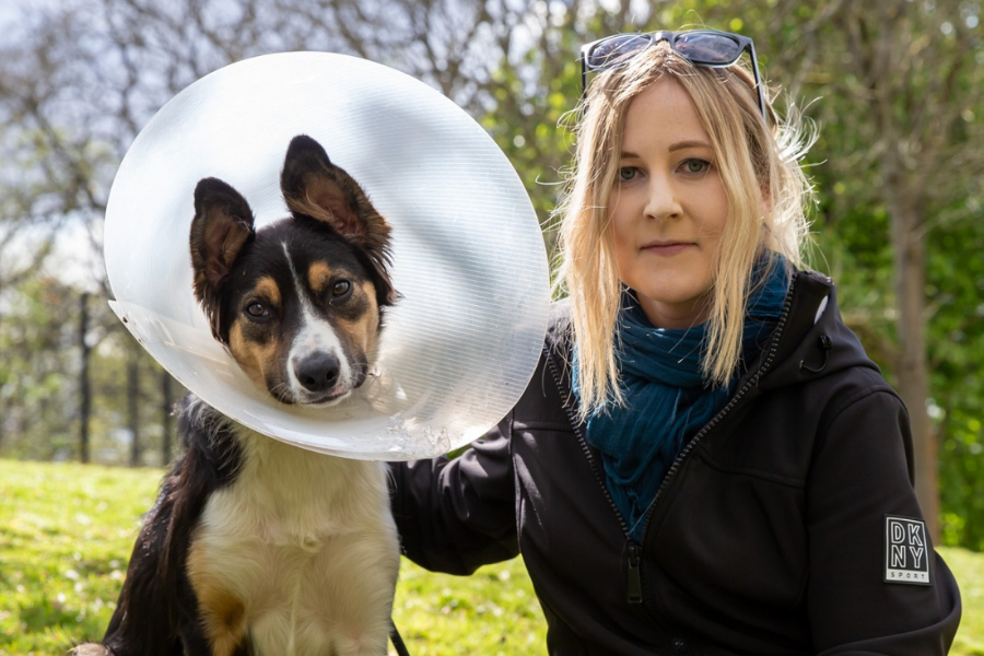 Kelvingrove Park pup cuts paw on broken Buckfast bottle - Vimarsana News
