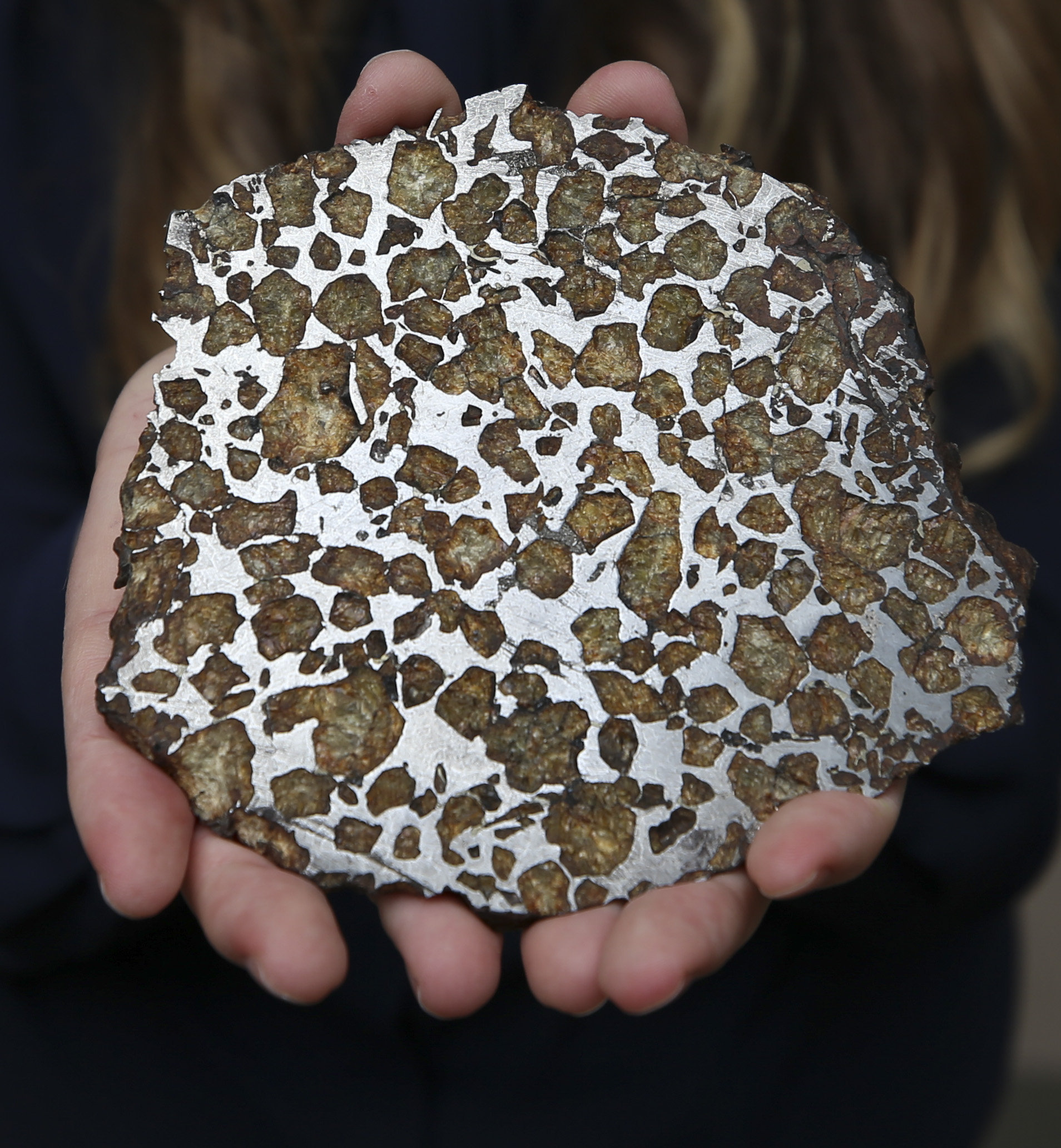 A pallasite meteorite from Hunterian Museum Picture: Gordon Terris