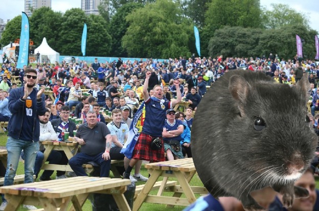 Giant rat protest falls flat at Glasgow's Euros fan zone