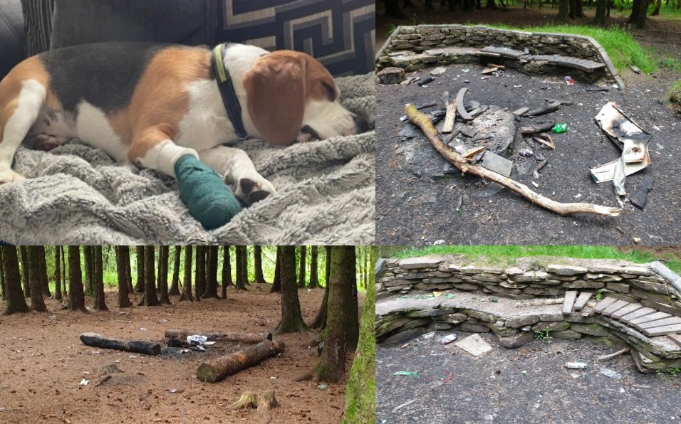 Dog left injured after litter louts leave broken glass bottles at Shotts Nature Park