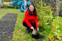 Monica Lennon MSP is calling for one day a year to be dedicated to planting trees