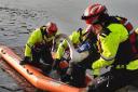 Swan rescued after becoming trapped in ice