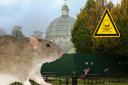 Anger as council uses rat poison in bait boxes for pest control in Glasgow park