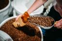 New coffee trail to be launched at festival