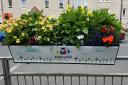 Glasgow housing association issues warning after damaged planter