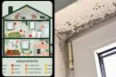 Over one in five (22%) sleep each night with dangerous mould in their bedroom, while 15% have mould in their kitchen, according to the research.