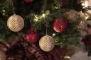 Plans revealed for Christmas tree switch-on in Glasgow's West End