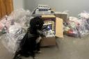 Thousands of illegal cigarettes and vapes seized from Glasgow shops