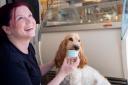Dog model Phoebe sampling the ice-cream in Girvan Gelataria