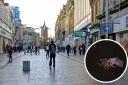 3G set to be turned off in Paisley