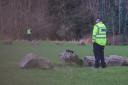 Cops probe 'unexplained' death after 'burned' body found on football pitch