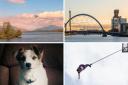 Eight stunning photos taken by camera club members