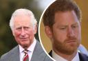 Prince Harry says father Prince Charles made him 'suffer' growing up. (PA)