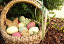 Easter eggs in a basket in the woods. Credit: Canva