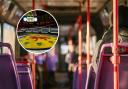 Bus operator introduces express service to Hampden for Scotland v Ukraine