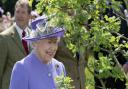 All the Glasgow organisations chosen to receive tree to honour the late Queen