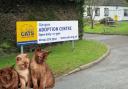 Cat adoption centre flooded by burst pipe