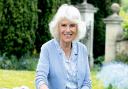 Queen Consort, Camilla, tests positive for COVID