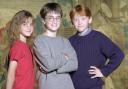 Major streamer green lights decades long Harry Potter series