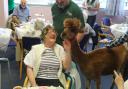 Alpaca visits housing development in Glasgow