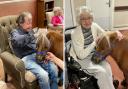 Residents at Four Hills care home with ponies