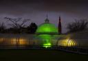 Glasgow Botanics in green
