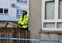 Man reported after dog shot dead following 'attack'