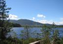 Loch Garten is home to all sorts of birds, including the 'charasmatic' and 'punky' crested tit.