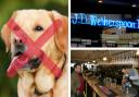 Wetherspoons bans dogs from ALL of its pubs