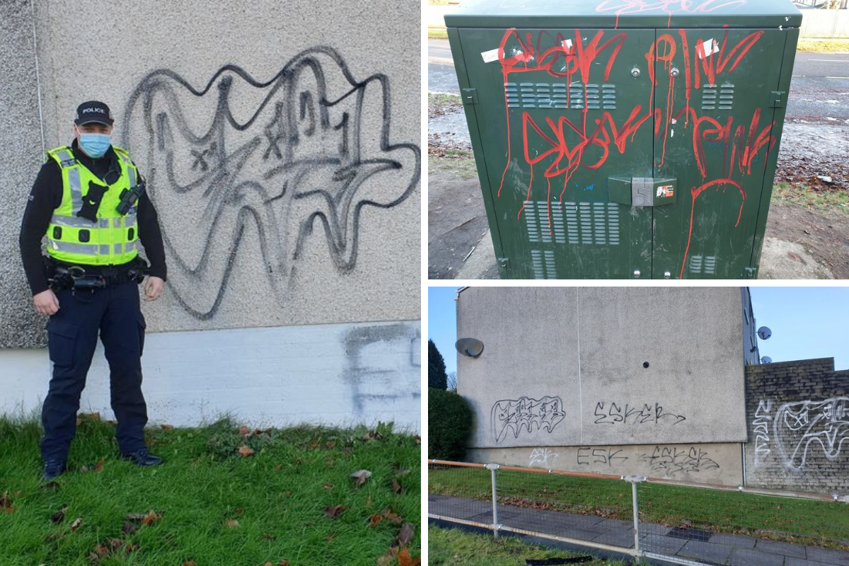 Homes in East Kilbride 'targeted' with graffiti as cops launch probe