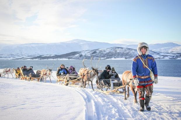 Glasgow Times: Reindeer Sledding Experience and Sami Culture Tour from Tromso - Tromso, Norway. Credit: TripAdvisor