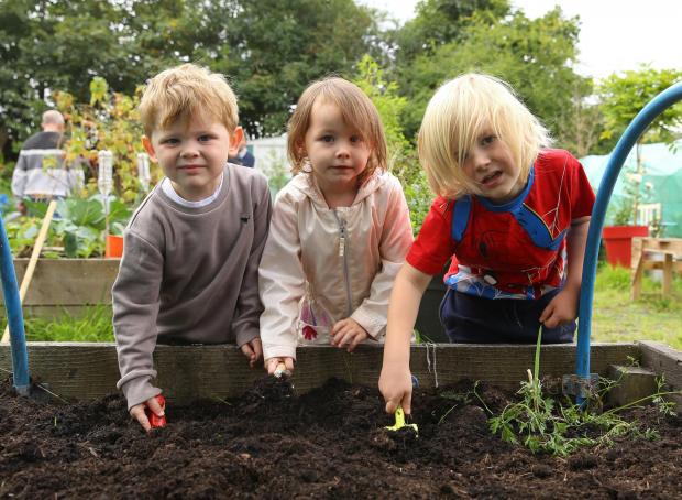Glasgow Times: Streets Ahead feature on Lochend Community Allotment in Easterhouse, Glasgow. Pictured are children from Lochview nursery nursery tending their own raised bed. From left- Ruaridh, Aleeya and LaughlinPhotograph by Colin Mearns