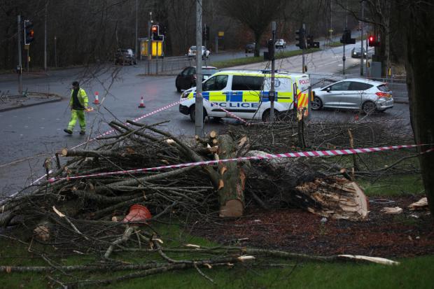 Glasgow Times: The scene at Barrhead Road in Glasgow where a man was injured after being struck by a falling tree. [Photograph by Gordon Terris] 
