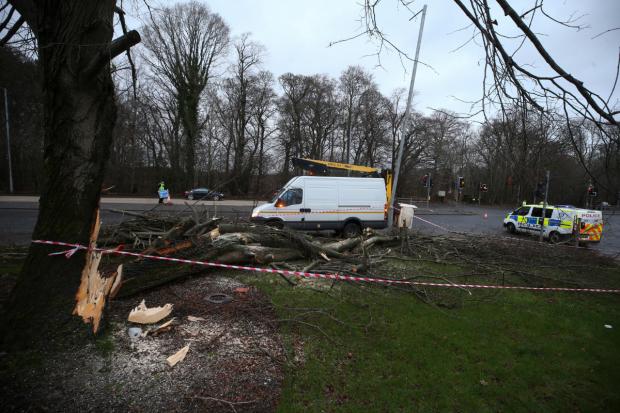 Glasgow Times: The scene at Barrhead Road in Glasgow where a man was injured after being struck by a falling tree. [Photograph by Gordon Terris] 