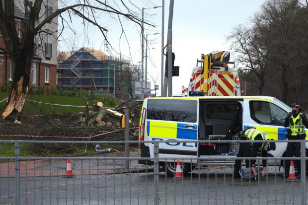 Glasgow Times: The scene at Barrhead Road in Glasgow where a man was injured after being struck by a falling tree. [Photograph by Gordon Terris]