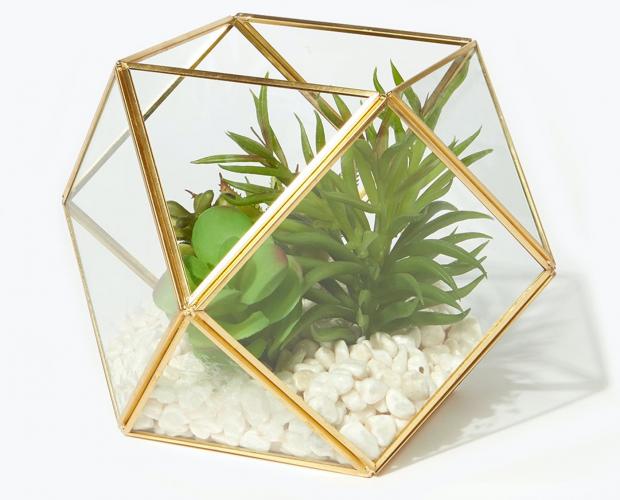 Glasgow Times: Succulents in Hexagonal Planter is available via Matalan. Picture: Matalan