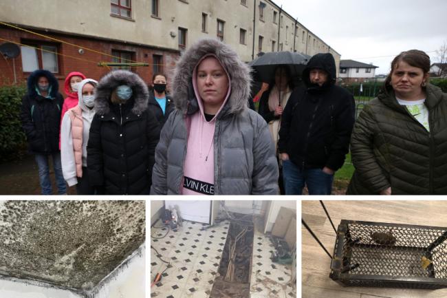 Residents plagued with rats, mould and 'structural damage' want run-down flats bulldozed