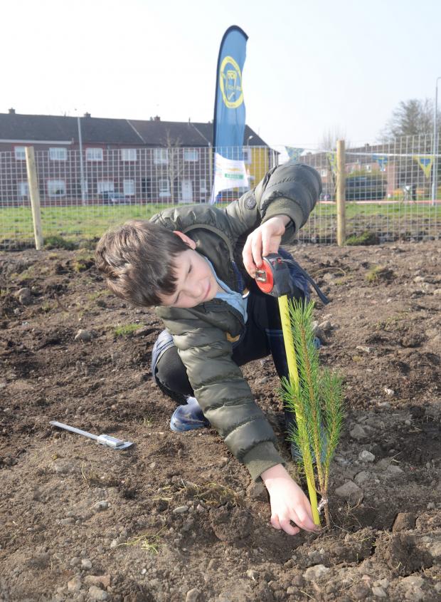 Glasgow Times: Miltonbank Primary pupils are planting a small forest in their area.