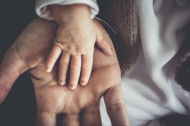 Glasgow Times: A Father and child's hand next to each other. Credit: Canva