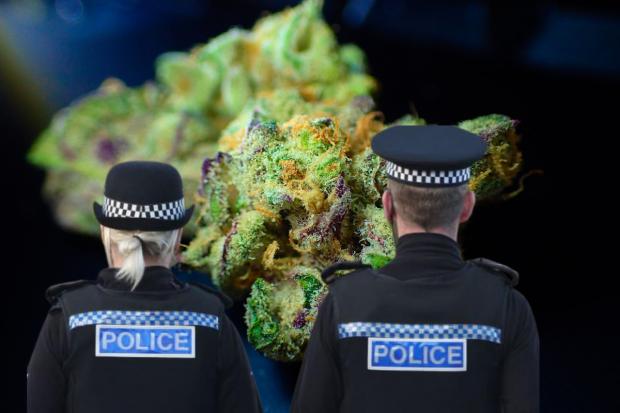 Man called cops to his home despite having cannabis plants growing in bedroom