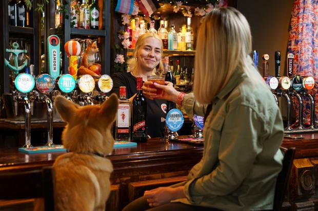 Glasgow Times: Take a Corgi for a free 'Queen's Tipple' over the Platinum Jubilee weekend. Picture: Greene King