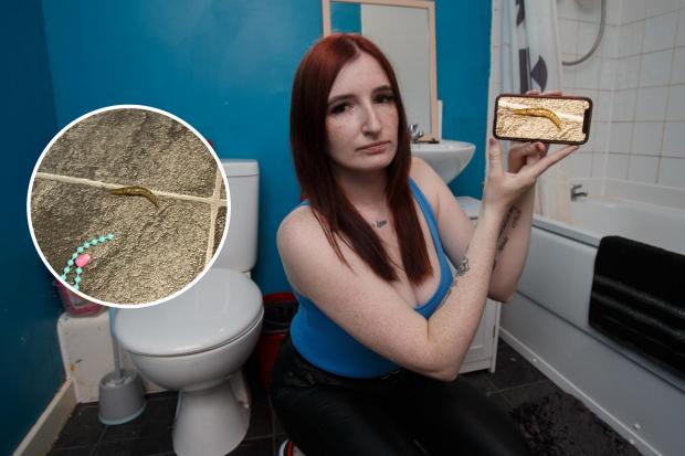 Mum says year-long slug infestation left autistic boy unable to use bathroom