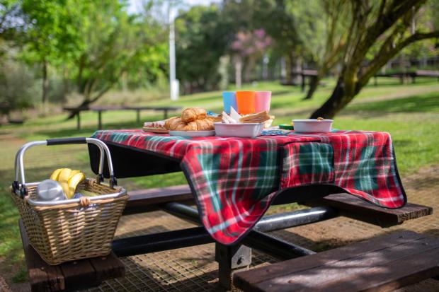 Glasgow Times: A picnic laid out on a bench. Credit: Canva