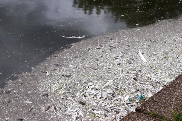Glasgow Times: Images show the current state of the pond.