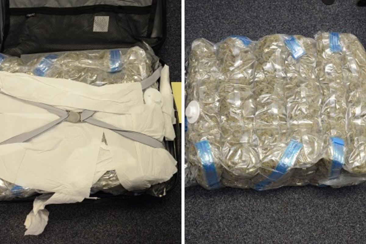 Man acting 'suspiciously' on Glasgow train left £6k of cannabis in suitcase
