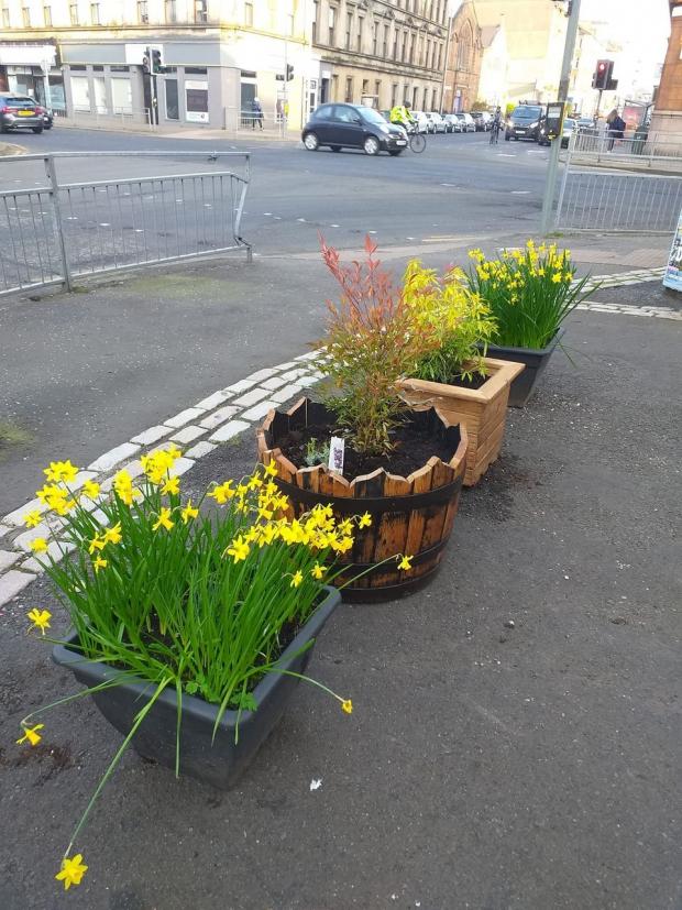 Glasgow Times: Flower planters in Thornwood